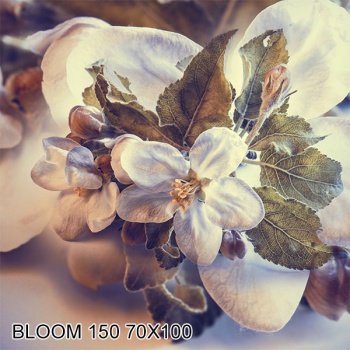 Купон для мягкой мебели Bloom 150 70x100 в Кирове