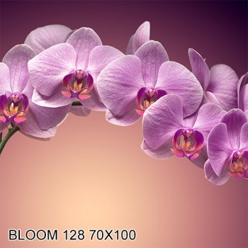 Купон для мягкой мебели Bloom 128 70x100 в Кирове